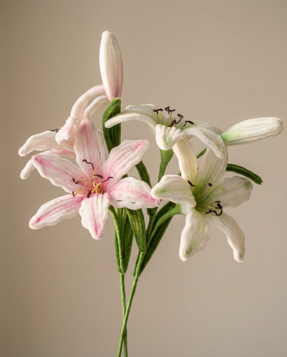 Lily