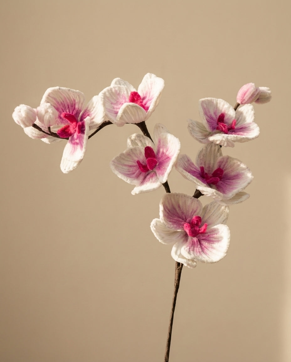 Orchid