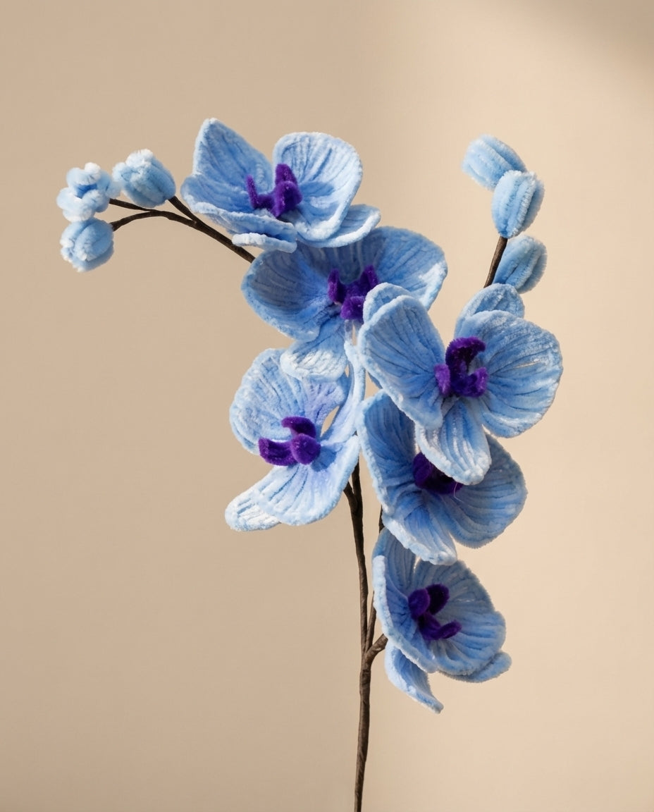 Orchid