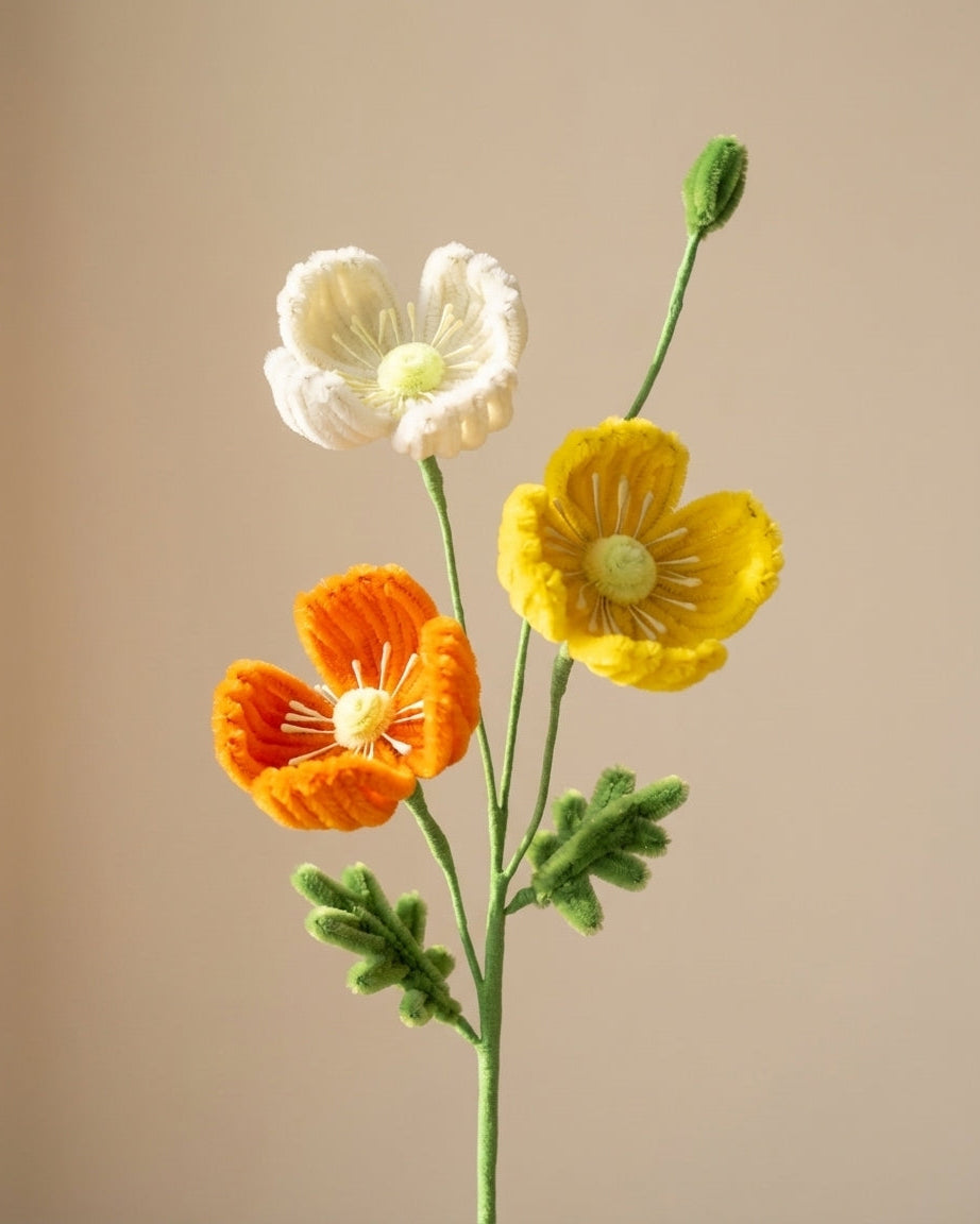 Poppy