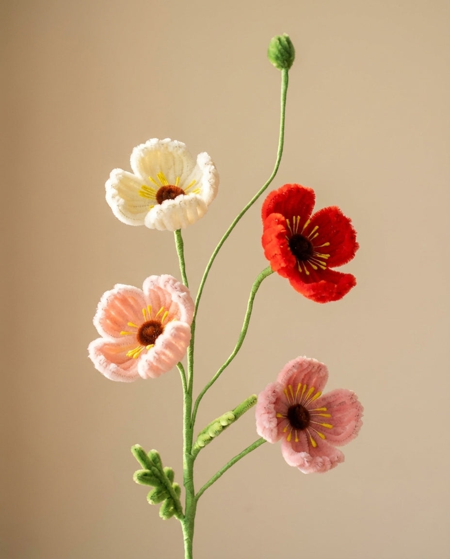 Poppy