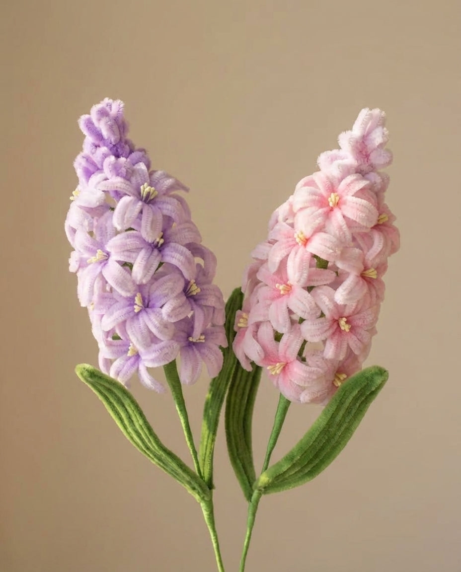 Hyacinth